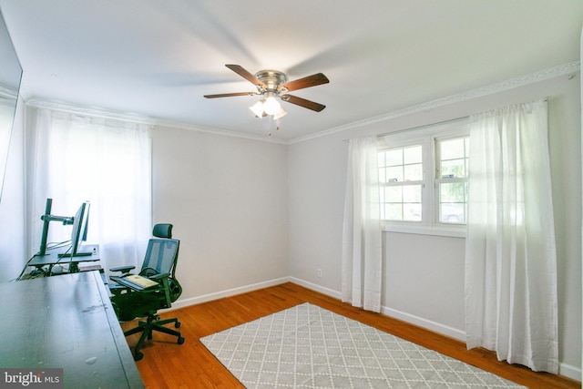 5722 Larpin Ln, Alexandria, VA 22310 - office with wood finished floors, ceiling fan, and ornamental molding