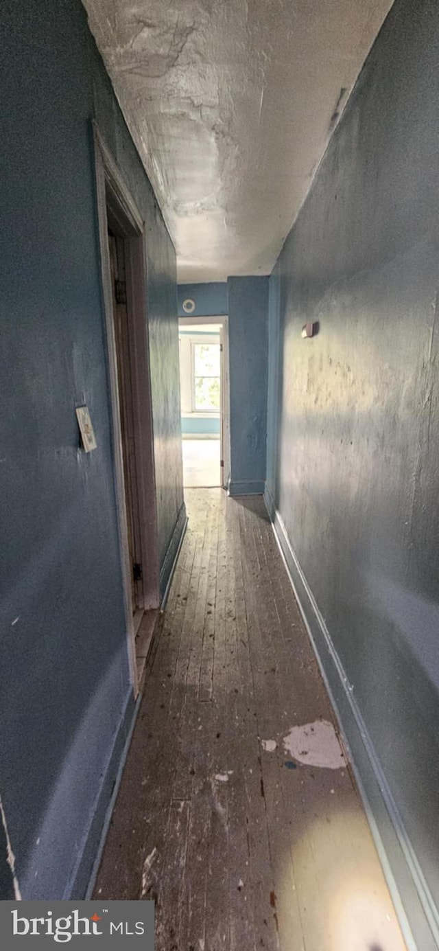 67 Vine St, Trenton, NJ 08638 - hall featuring hardwood / wood-style flooring and baseboards