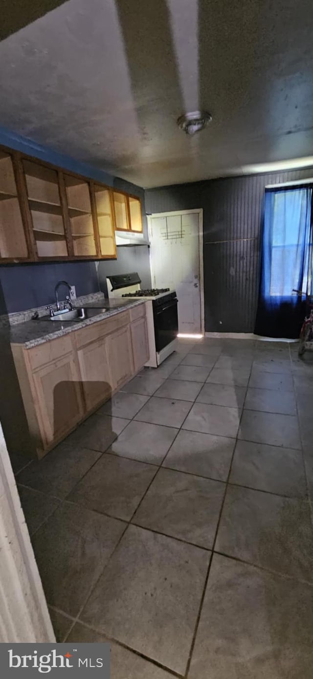 67 Vine St, Trenton, NJ 08638 - kitchen with white gas range oven, tile patterned flooring, and under cabinet range hood