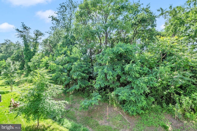 8321 Meadowood Dr, Hanover, MD 21076 - view of undeveloped land