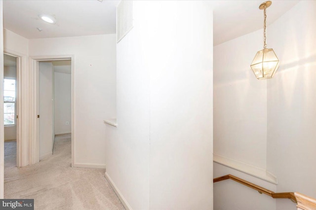 1724 Derrs Sq E, Frederick, MD 21701 - corridor with carpet flooring and baseboards
