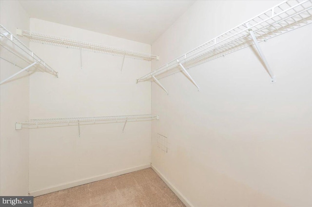 1724 Derrs Sq E, Frederick, MD 21701 - walk in closet featuring light carpet