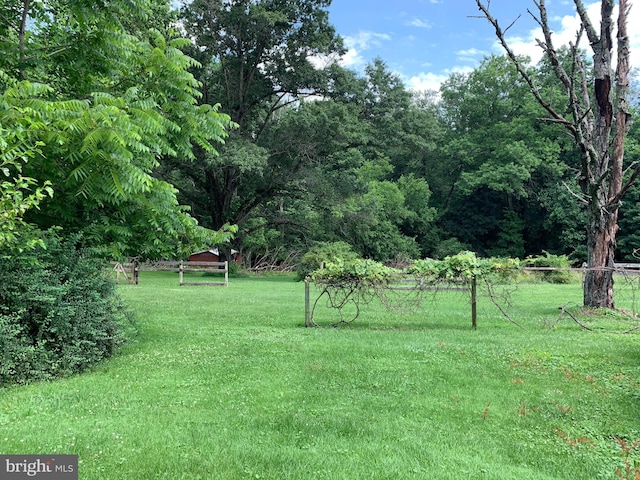 2142 Flag Marsh Rd, Mount Airy, MD 21771 - view of green lawn