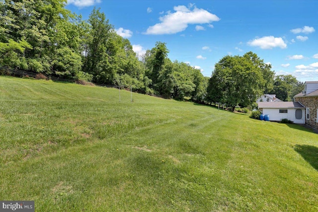 1124 Fairview Dr, Reading, PA 19605 - view of green lawn