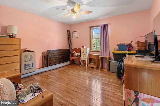 148 S Allwood Dr, Hanover, PA 17331 - home office with light wood-type flooring and ceiling fan
