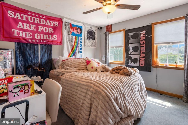 148 S Allwood Dr, Hanover, PA 17331 - bedroom with carpet floors and a ceiling fan