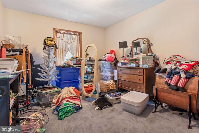 148 S Allwood Dr, Hanover, PA 17331 - bedroom featuring carpet floors