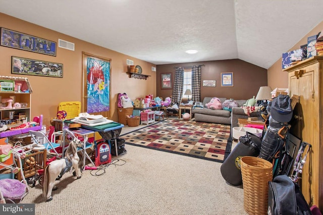 148 S Allwood Dr, Hanover, PA 17331 - game room with carpet floors, a textured ceiling, and vaulted ceiling