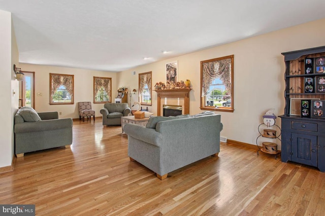 148 S Allwood Dr, Hanover, PA 17331 - living room with light wood-type flooring and a glass covered fireplace