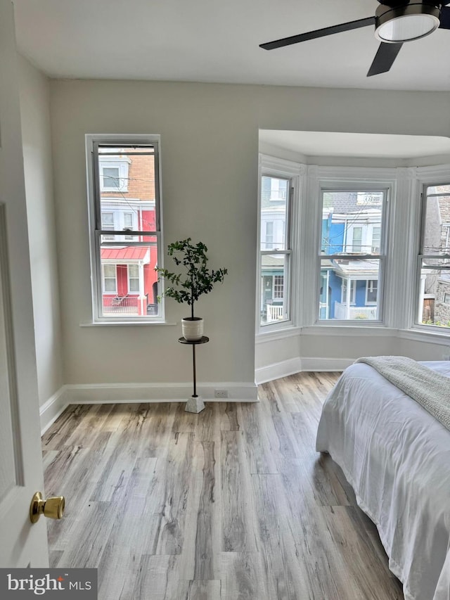 538 S Lime St, Lancaster, PA 17602 - bedroom with wood finished floors, multiple windows, and a ceiling fan