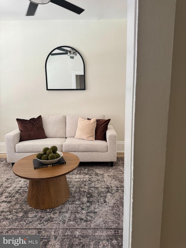 538 S Lime St, Lancaster, PA 17602 - living room with ceiling fan and carpet flooring