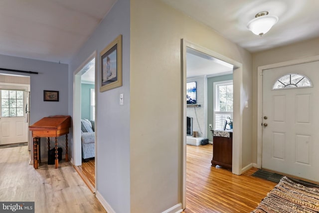 251 Kelly Dr, Harpers Ferry, WV 25425 - entrance foyer featuring light wood-style flooring, healthy amount of natural light, and a fireplace