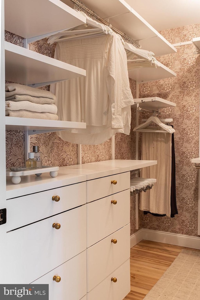 33 Conestoga Blvd, Lancaster, PA 17602 - walk in closet with light wood finished floors