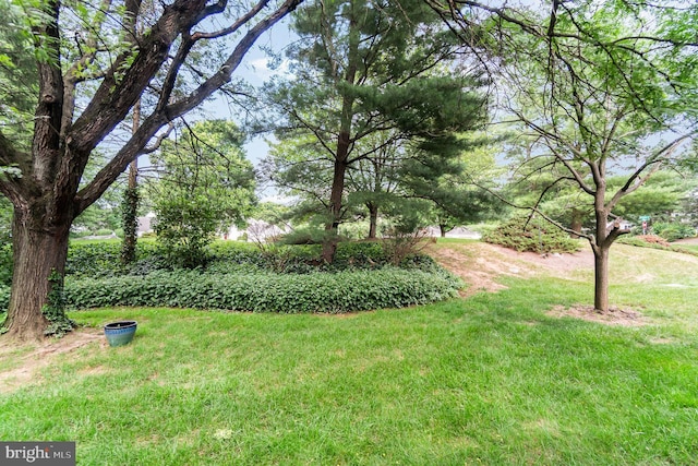 1866 Wexford Rd, Palmyra, PA 17078 - view of green lawn