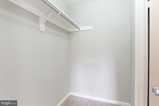 7547 Filbert Ter, Gaithersburg, MD 20879 - walk in closet with carpet