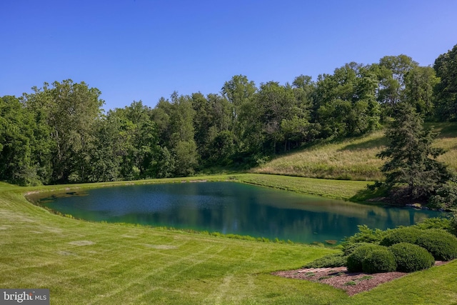 5751 Mount Pisgah Rd, York, PA 17406 - water view featuring a forest