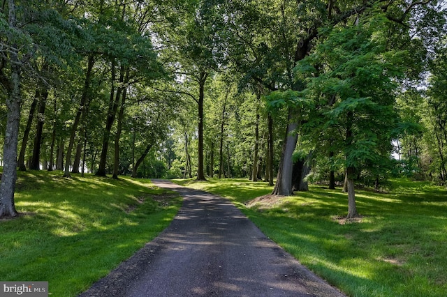 5751 Mount Pisgah Rd, York, PA 17406 - view of street