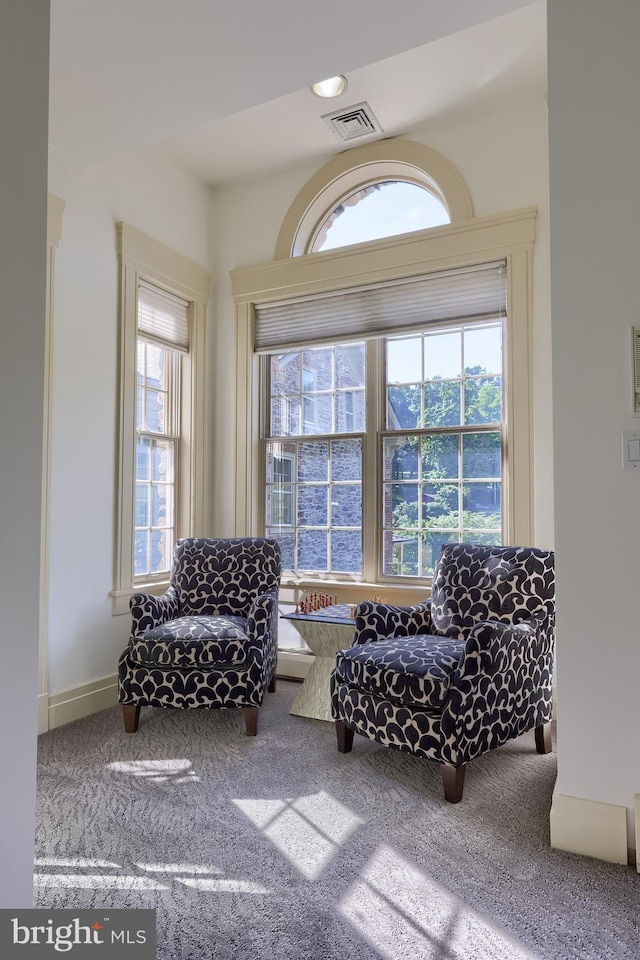 5751 Mount Pisgah Rd, York, PA 17406 - sitting room with carpet flooring and healthy amount of natural light