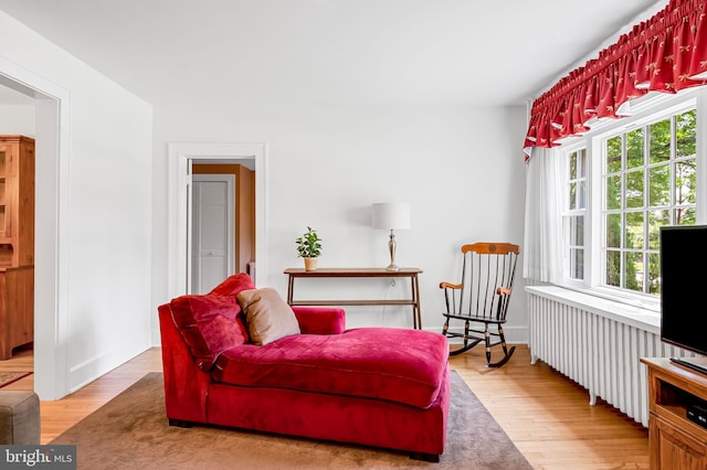 206 E Lake Ave, Baltimore, MD 21212 - sitting room featuring hardwood / wood-style flooring and plenty of natural light