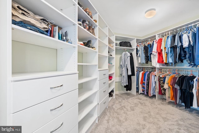 20736 Ashburn Station Pl, Ashburn, VA 20147 - walk in closet featuring carpet flooring