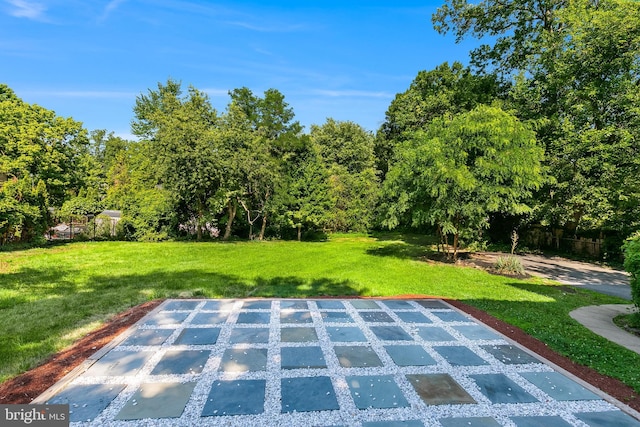6818 Connecticut Ave, Chevy Chase, MD 20815 - view of grassy yard