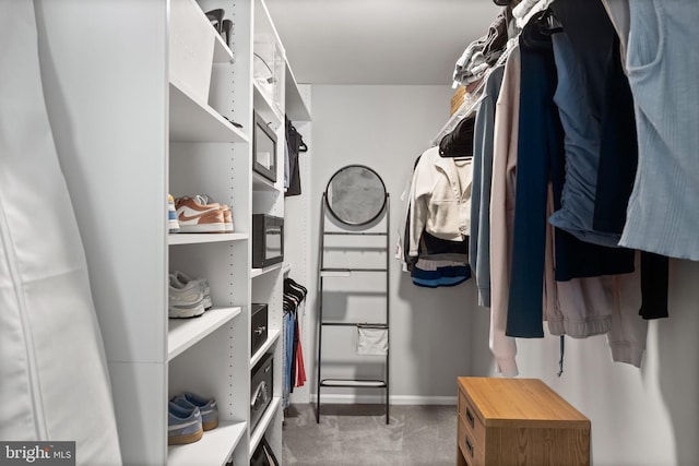 703 Wharton Rd, Mount Laurel, NJ 08054 - view of spacious closet