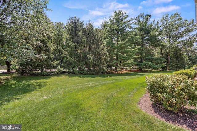703 Wharton Rd, Mount Laurel, NJ 08054 - view of green lawn with a wooded view