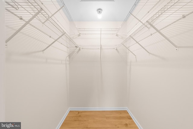2802B Yarmouth Ln, Mount Laurel, NJ 08054 - walk in closet featuring wood finished floors