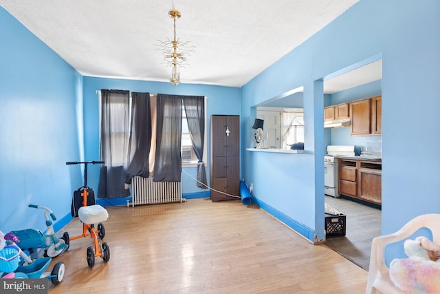 11 Rosedale St, Baltimore, MD 21229 - entrance foyer featuring radiator heating unit, light wood-type flooring, and a textured ceiling