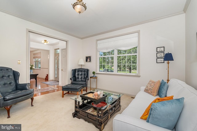 3 Baird Ct, Carlisle, PA 17013 - living room featuring crown molding and plenty of natural light