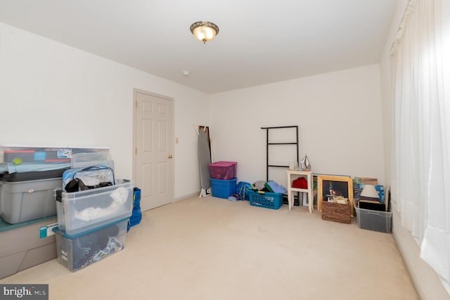 3 Baird Ct, Carlisle, PA 17013 - view of storage