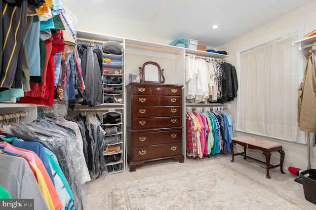 3 Baird Ct, Carlisle, PA 17013 - walk in closet with carpet flooring