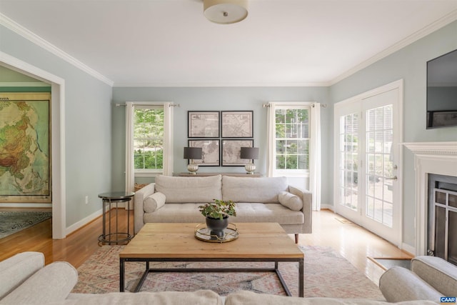 325 Heron Ln, Charlottesville, VA 22903 - living area featuring wood finished floors, plenty of natural light, ornamental molding, and a fireplace