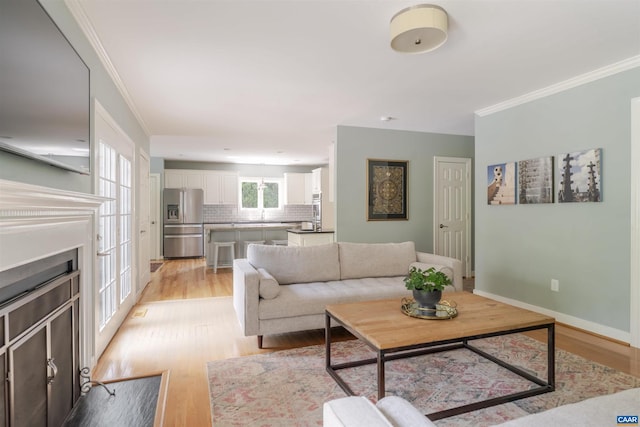325 Heron Ln, Charlottesville, VA 22903 - living room with light wood-style floors, ornamental molding, and a fireplace