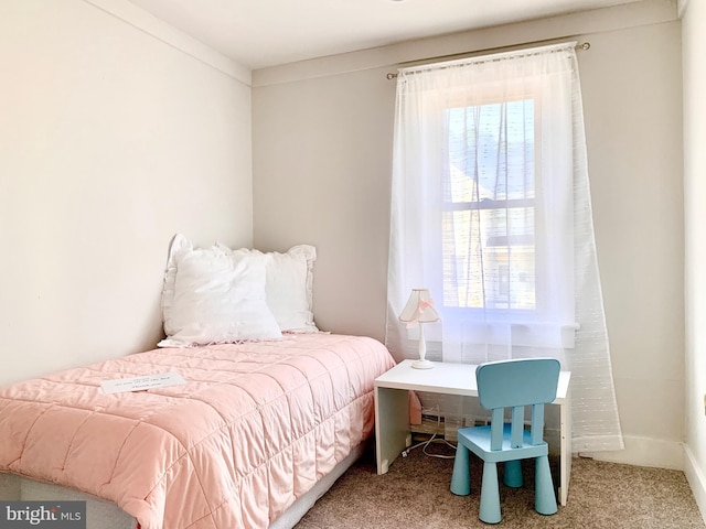 840 Columbia Ave, Cumberland, MD 21502 - bedroom with multiple windows and carpet flooring