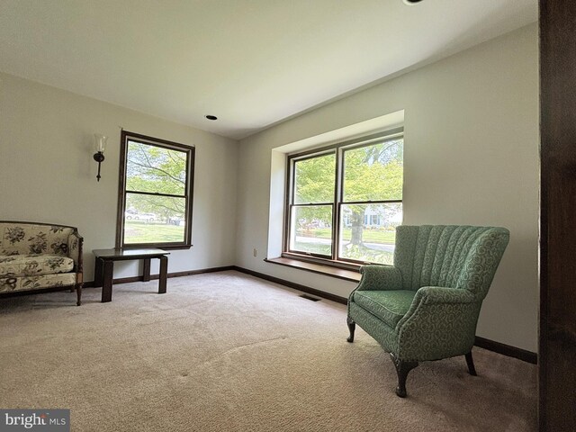 33 High Meadows Dr, Mullica Hill, NJ 08062 - living area featuring plenty of natural light and carpet