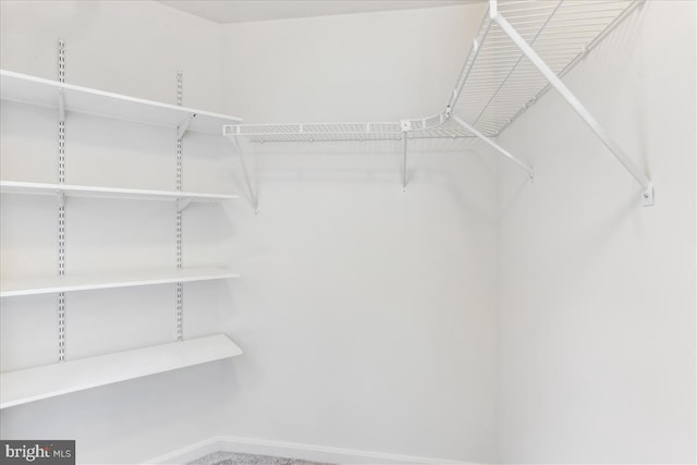 9409 Emory Grove Rd, Gaithersburg, MD 20877 - view of spacious closet