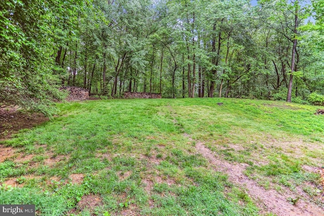 9409 Emory Grove Rd, Gaithersburg, MD 20877 - view of green lawn featuring a view of trees