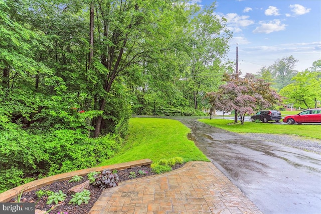 9409 Emory Grove Rd, Gaithersburg, MD 20877 - view of green lawn