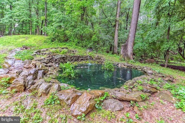 9409 Emory Grove Rd, Gaithersburg, MD 20877 - view of tree filled area