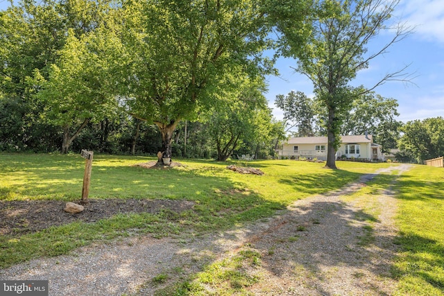 381 Youngs Dr, Front Royal, VA 22630 - view of grassy yard featuring driveway