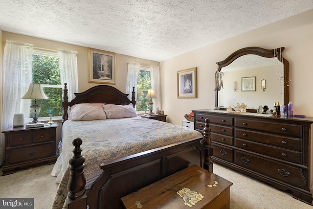 381 Youngs Dr, Front Royal, VA 22630 - bedroom with light colored carpet, multiple windows, and a textured ceiling