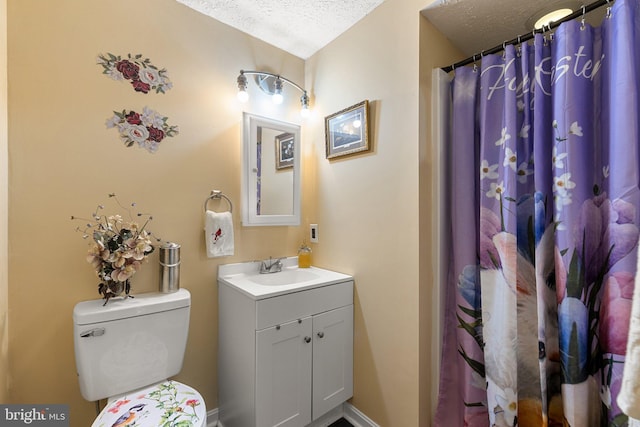 381 Youngs Dr, Front Royal, VA 22630 - bathroom featuring a textured ceiling, vanity, and a shower with curtain