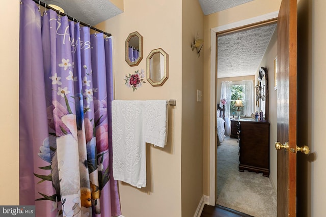 381 Youngs Dr, Front Royal, VA 22630 - bathroom featuring a textured ceiling and baseboards