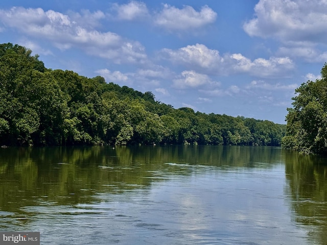 381 Youngs Dr, Front Royal, VA 22630 - water view featuring a forest
