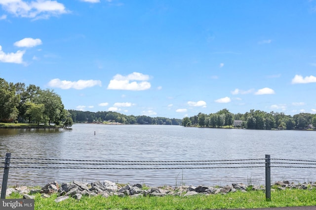 2 Evans Ln, Ruther Glen, VA 22546 - water view