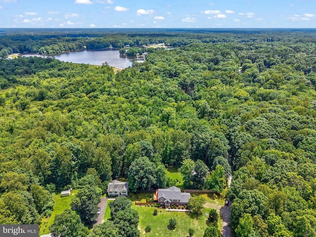 2 Evans Ln, Ruther Glen, VA 22546 - aerial view of a forest and a large body of water