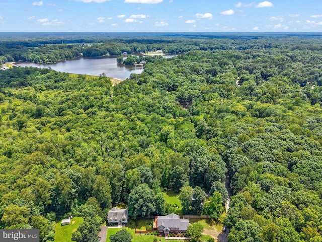 2 Evans Ln, Ruther Glen, VA 22546 - aerial view of a heavily wooded area and a nearby body of water