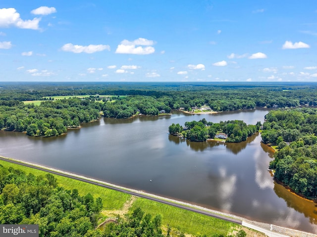 2 Evans Ln, Ruther Glen, VA 22546 - aerial view of a forest and a nearby body of water