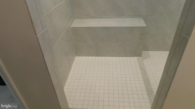 12507 Olivine Ct, Hagerstown, MD 21740 - bathroom view of tiled shower